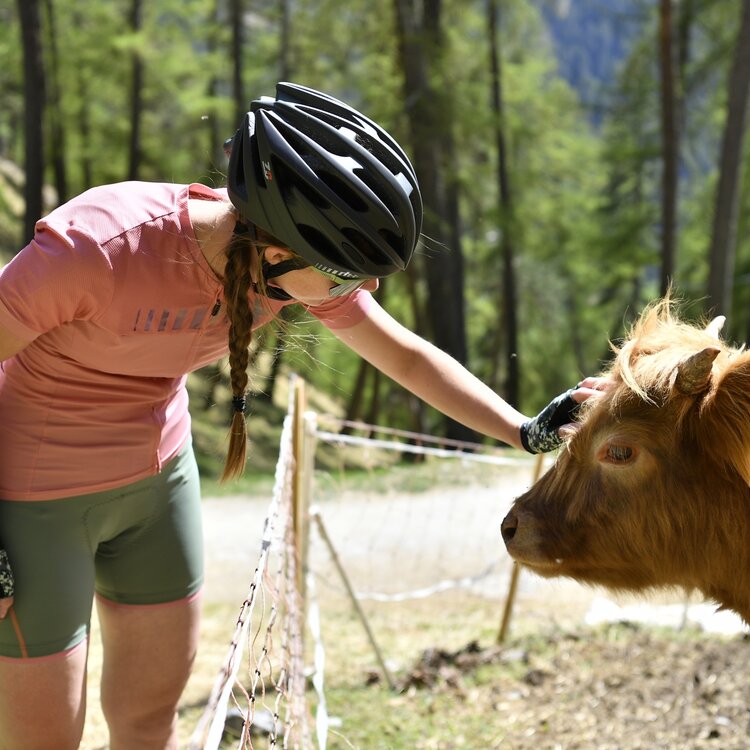 Unpaved Roads Bike Gravel Ph. Unpaved Roads (429)