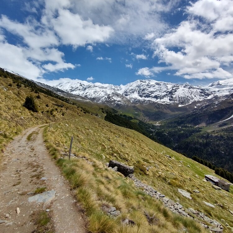 Valfurva Valle Forni Ph. Simone Giavieri (2)