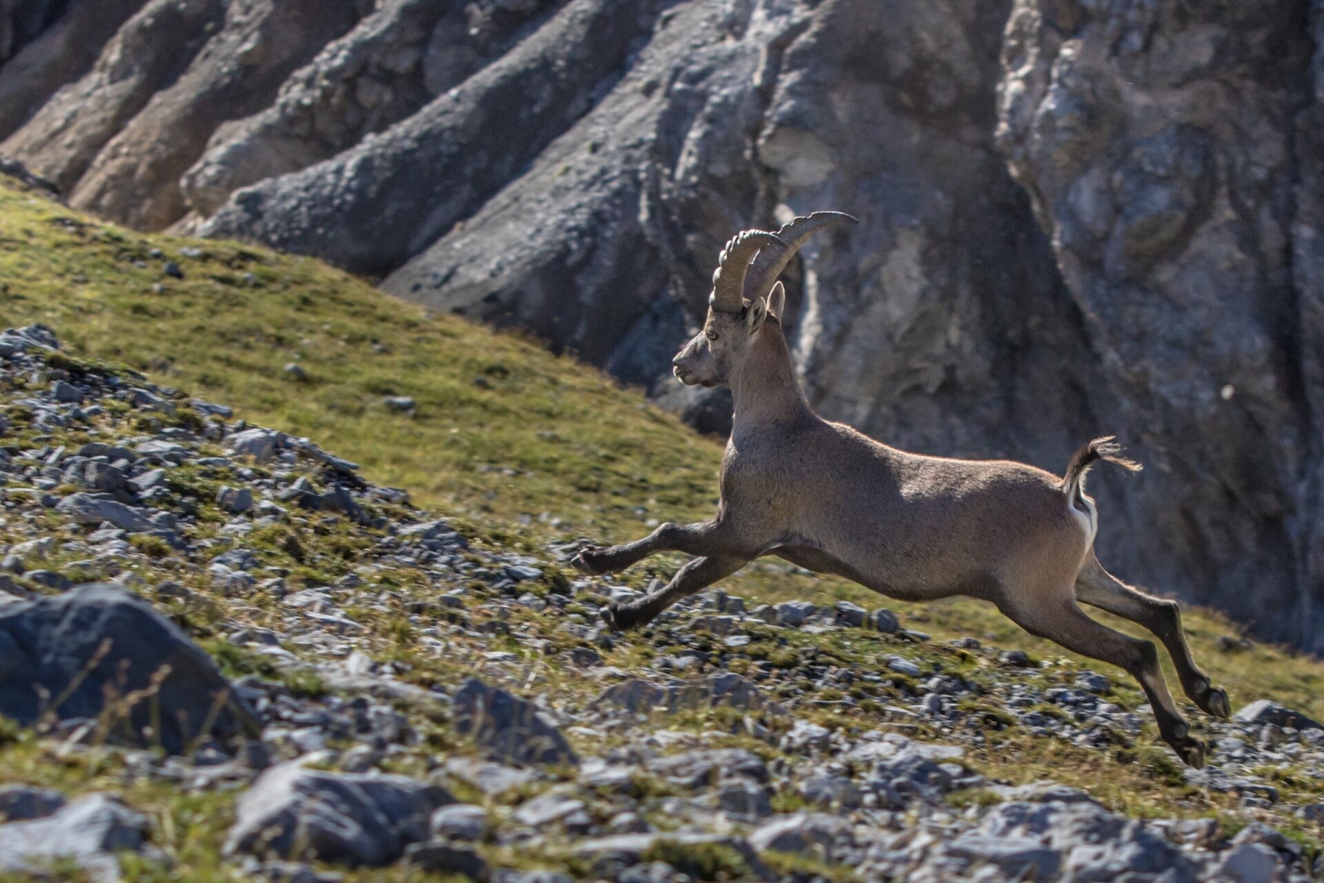 Valfurva Giro Del Confinale Trekking Ph. Outdoor Studio (9)