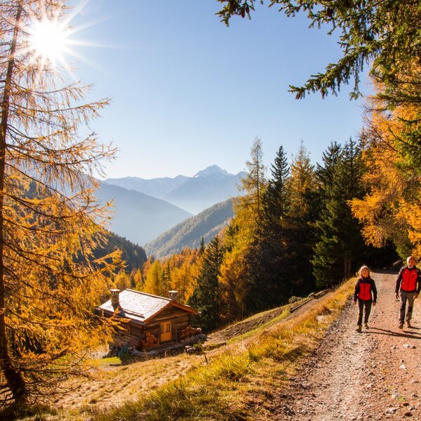Valfurva Val Zebrù  Trekking Autunno Ph. Giacomo Meneghello (2)