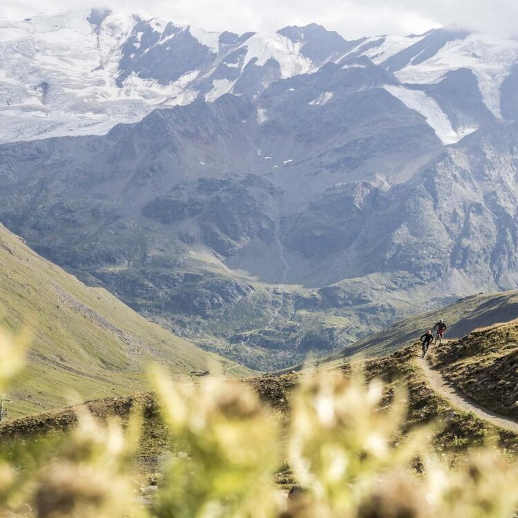 Transalp
