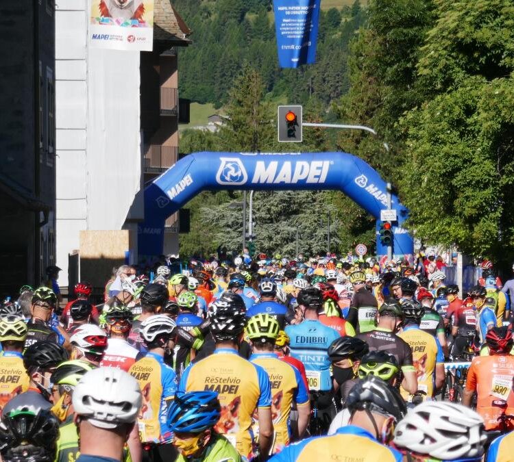 Re Stelvio Mapei