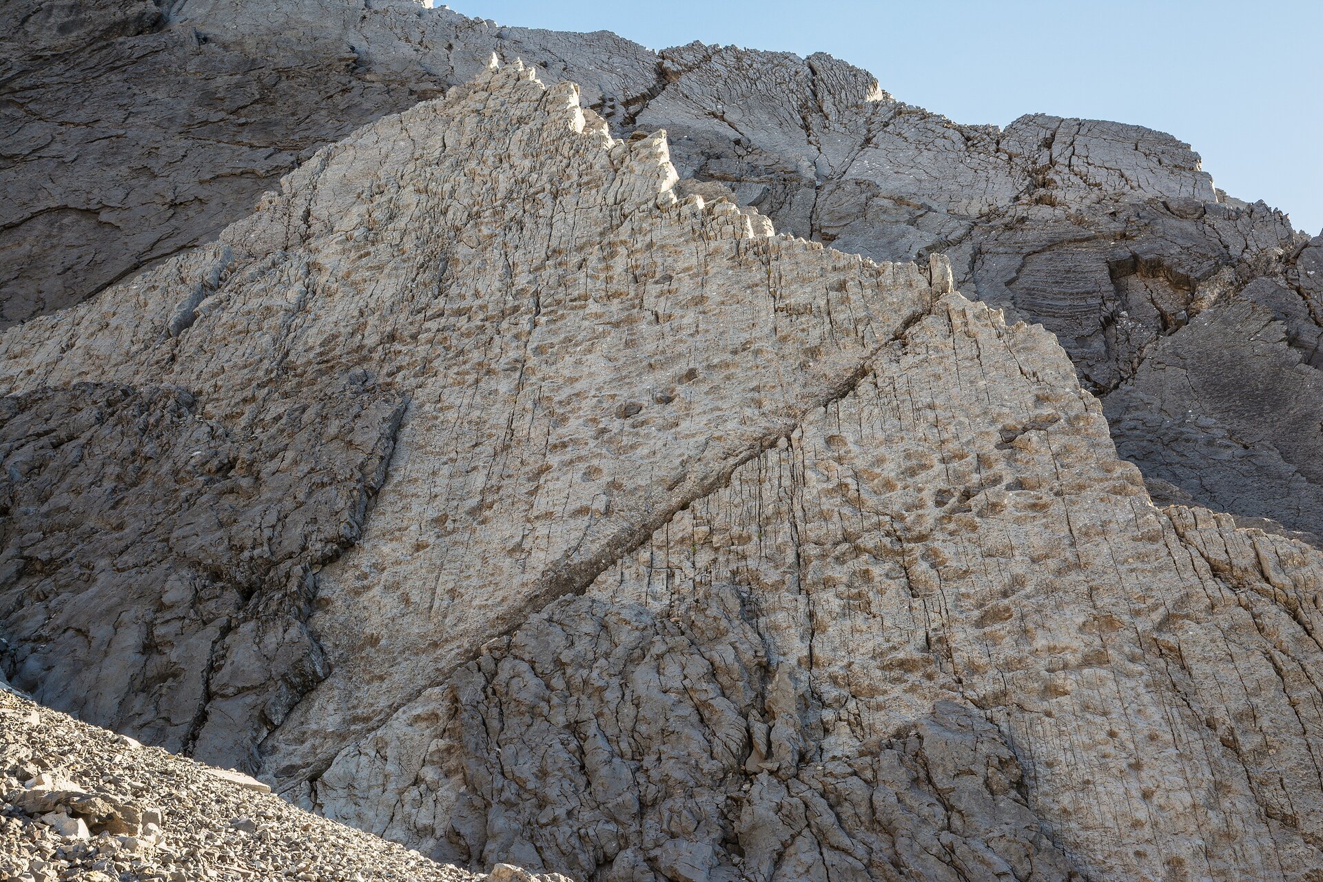 Triassic Park