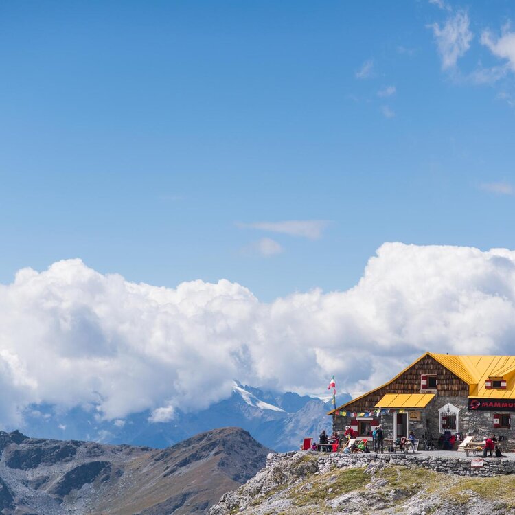 quintoalpini