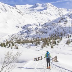 37° RADUNO INTERNAZIONALE SCI ALPINISMO ORTLES-CEVEDALE