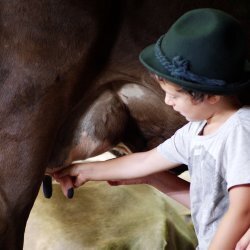 Alla scoperta dei lavori dell'alpeggio