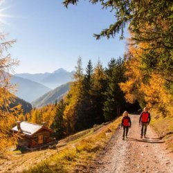 Foliage Pedemontana della Reit | Escursioni e trekking con le Guide Alpine Bormio