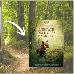 Incontro con l'autore GIUSEPPE FESTA