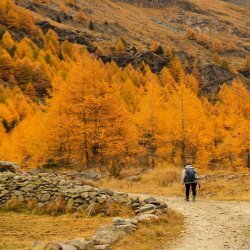 L'oro dei larici: S. Giacomo di Fraele - Valle Alpisella - Sorgenti dell'Adda