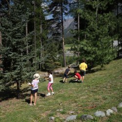Piante in viaggio