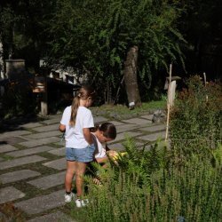 Piante in viaggio - Laboratorio per bambini