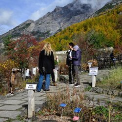 Visite guidate al Giardino Botanico: Il Giardino in veste autunnale