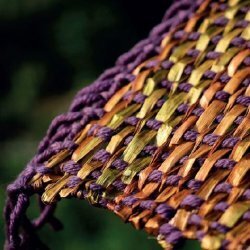 Workshop: Intrecci vegetali