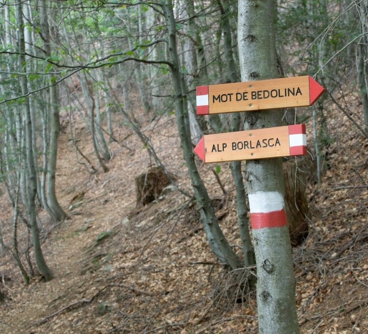 Trail to Bedolina