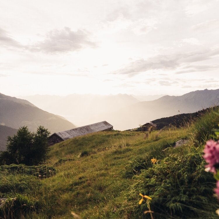 Baitone mit Blick auf das Untere Veltlin