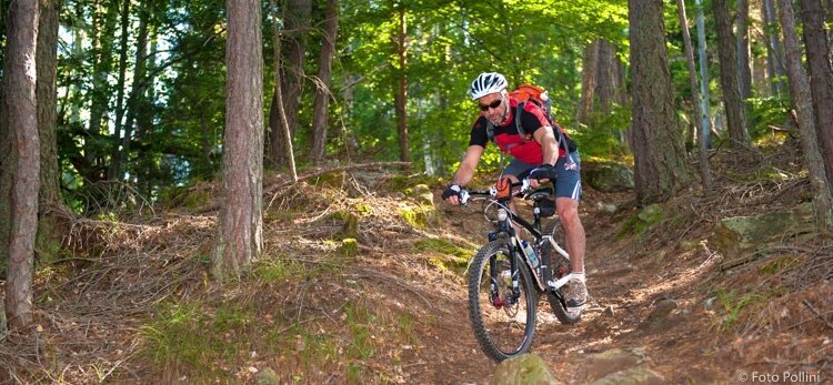 Alpini Trail n. B352
