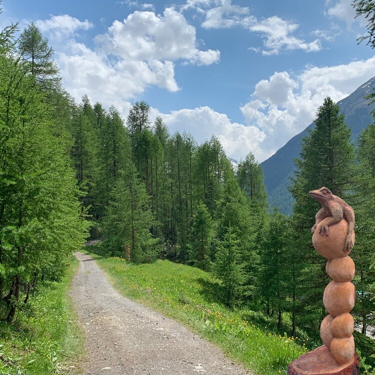 Sentiero D'arte