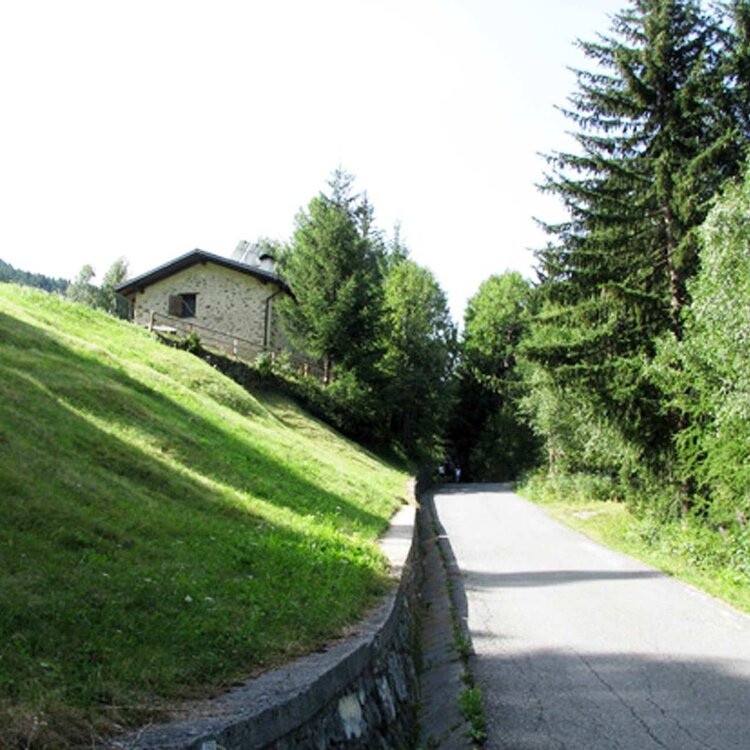 Am Fuße des Cima Piazzi