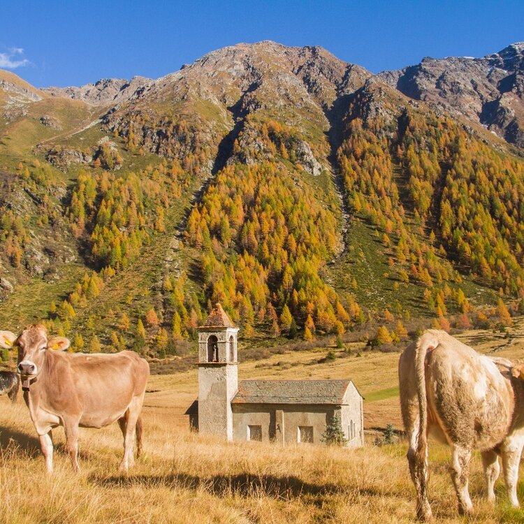 Foliage Autunnale: Val di Rezzalo