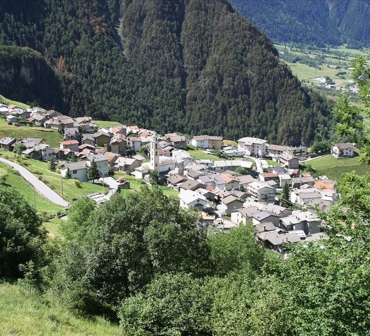 Vorne
