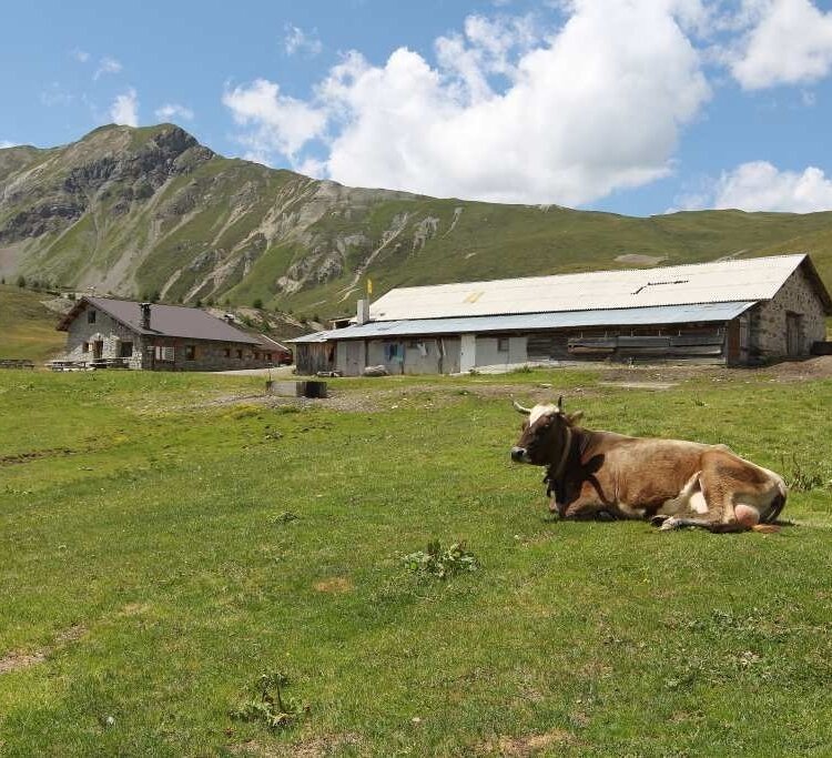 Malga San Colombano