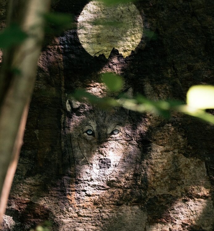 Eines der Wandbilder auf dem "Bosco Co vivo"-Pfad in Dazio