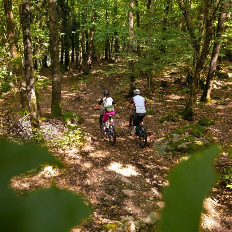 Bosco dei Bambini, mountain bike fun