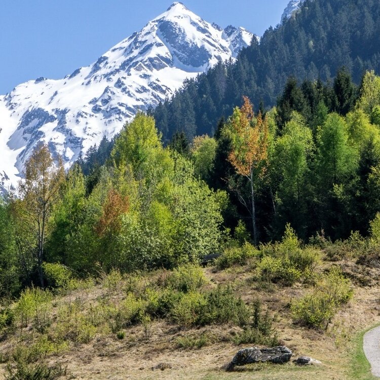 Campisc itinerario MTB numero 3