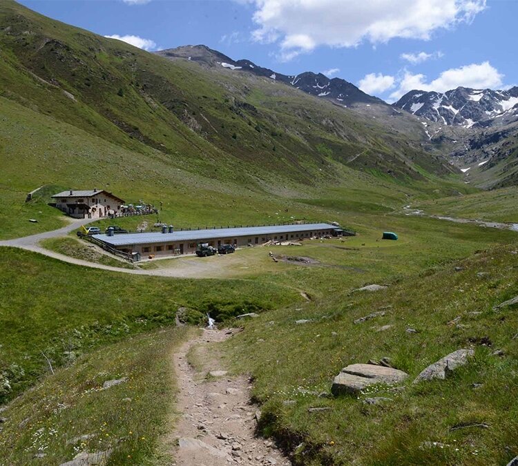 Ches'e'ira dal Gras di Agne'i - Malga Mine