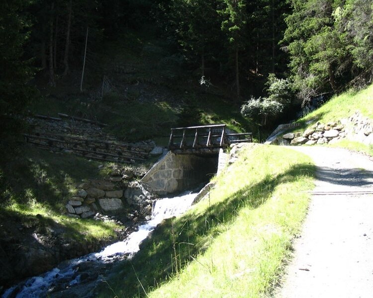 Bosco di Cornogna
