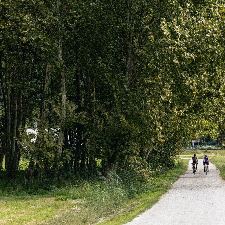 In bici nel Pian di Spagna, Riserva naturale