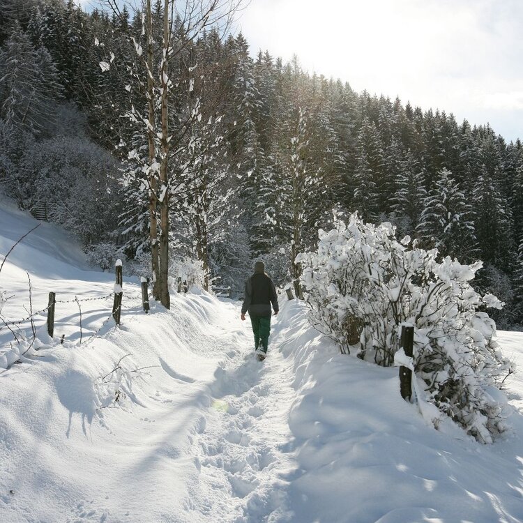 Waldstraße