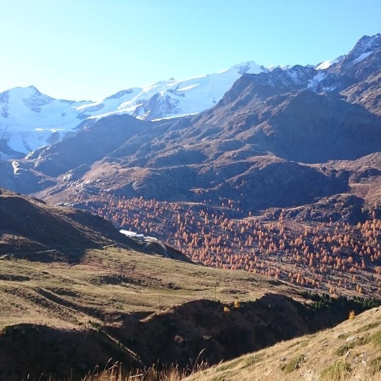 Forni Refuge - Ables - S. Caterina Valfurva with joëlette