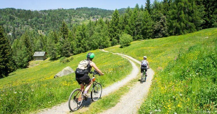 Gembro Trail Nr. B349
