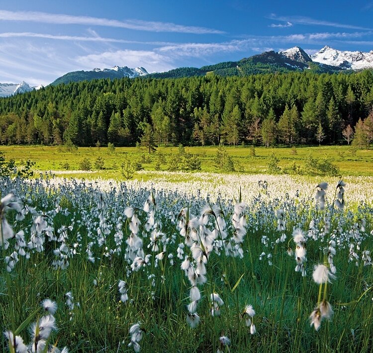 Naturschutzgebiet Pian di Gembro