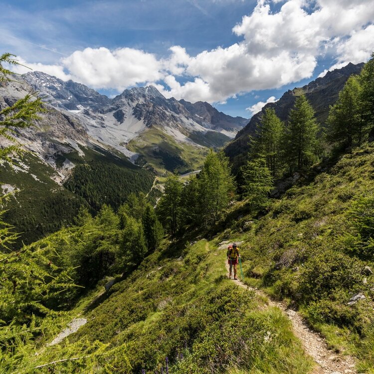 Italy Trail D35N - Stage Monte alle Scale Refuge (Cancano) - Camp Refuge
