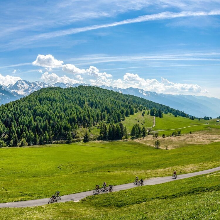 Mortirolo-Pass (von Aprica - Pian di Gembro - Trivigno)