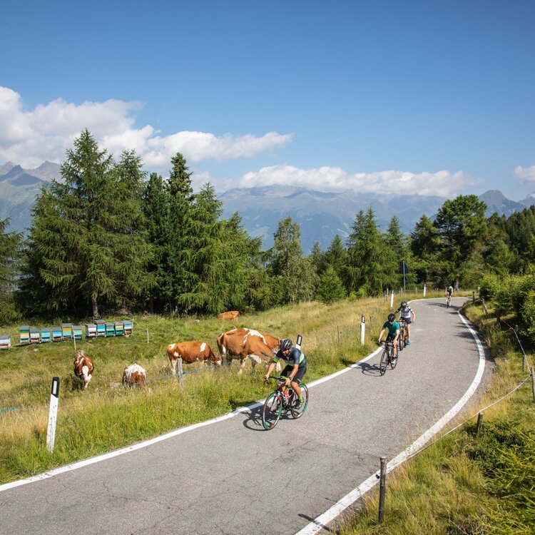 Mortirolo-Pass
