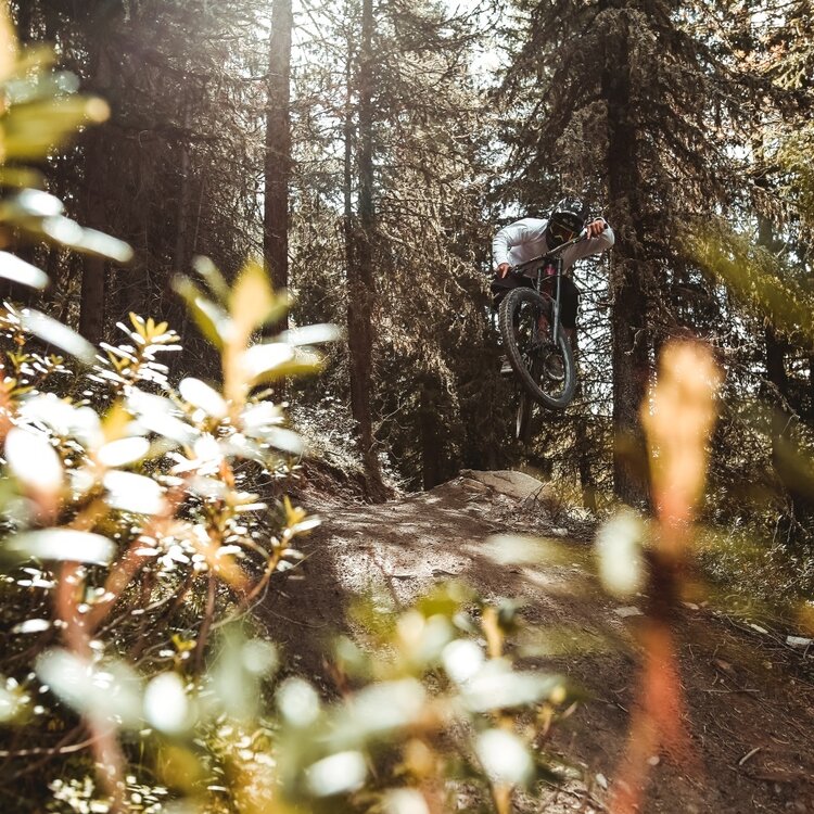 Wildschafe Mottolino Bikepark