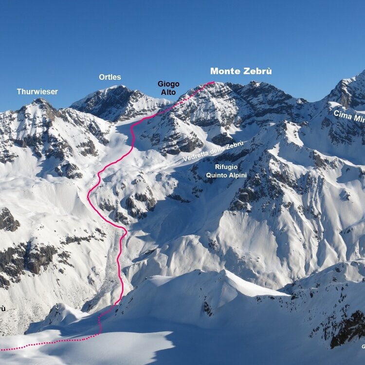 Monte Zebru'