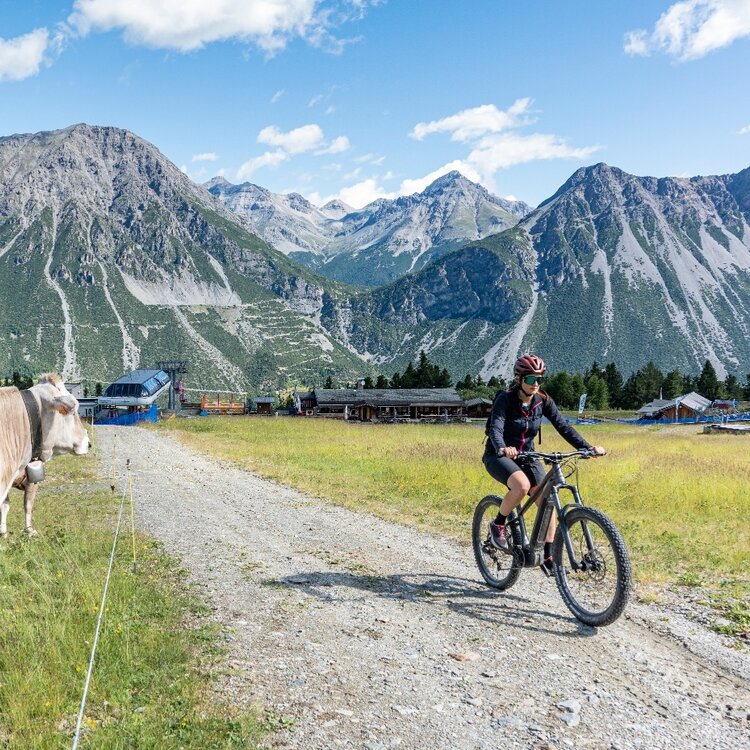 Mountainbike: Conca Bianca - Fochin
