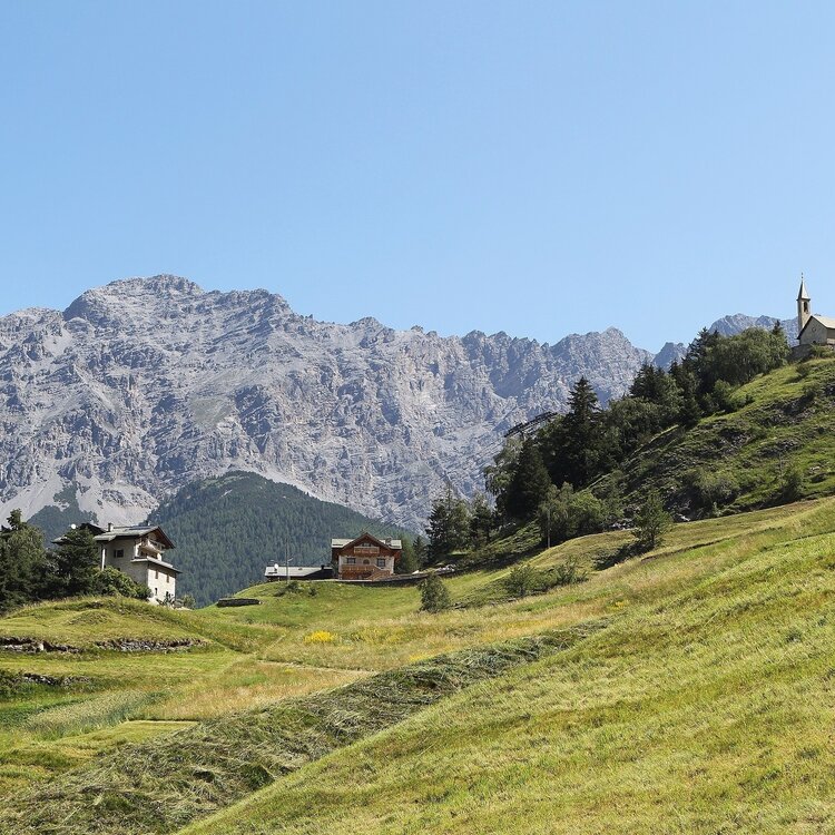 Piatta