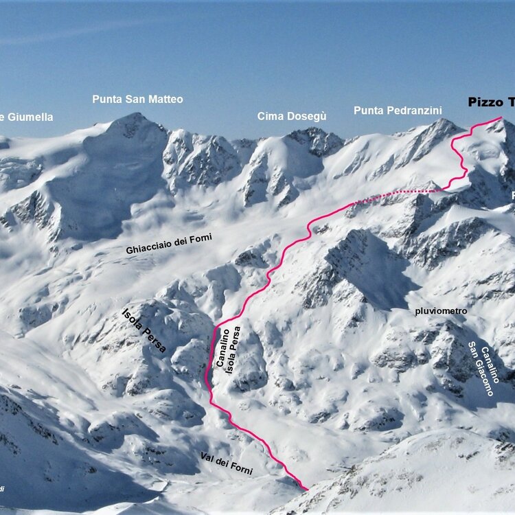 Pizzo Tresero - dai Forni