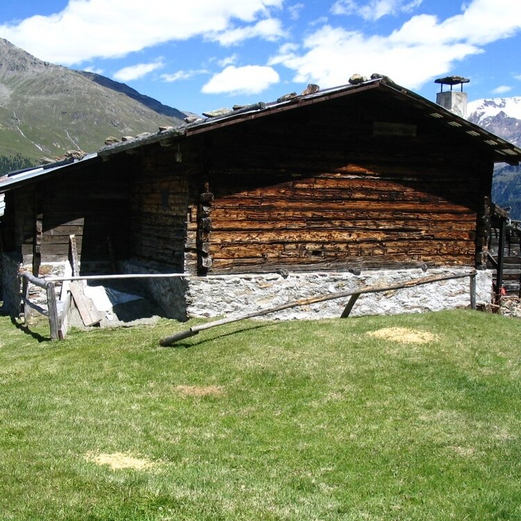Plaghera