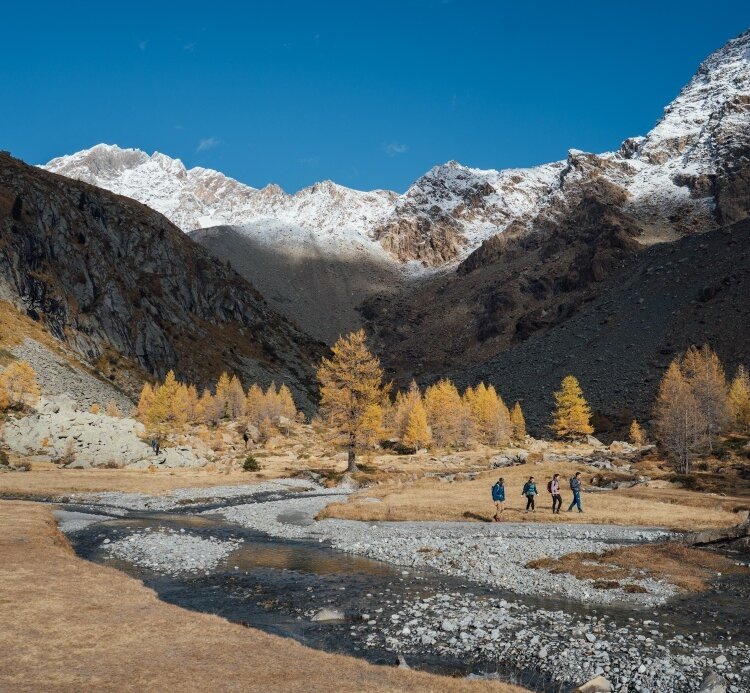 Predarossa in autunno