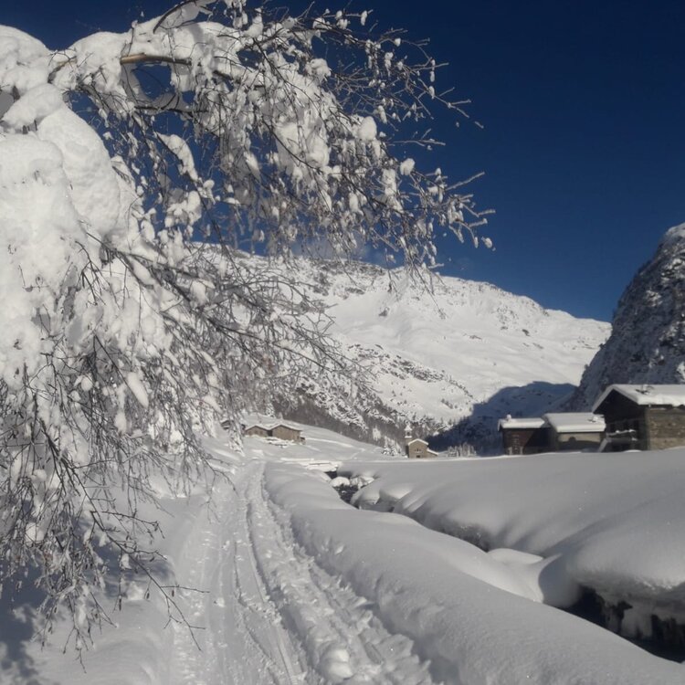 Val di Rezzalo (Fontanaccia - San Bernardo)