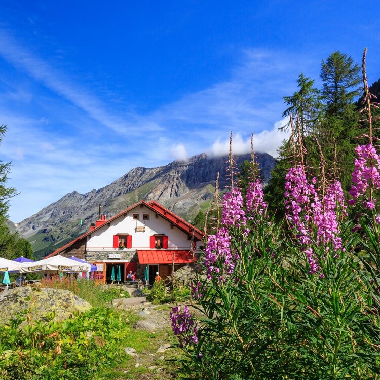 Berghütte Gerli Porro