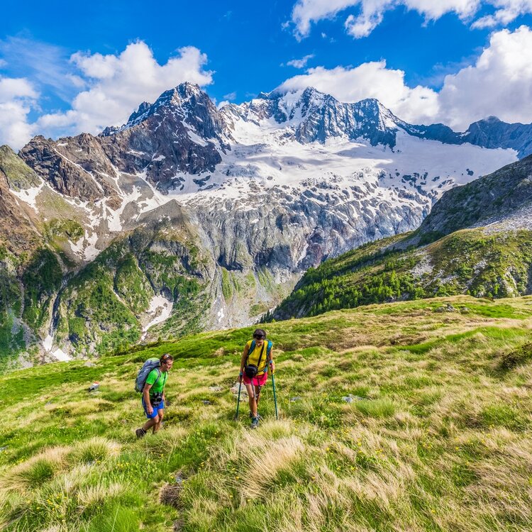 Sissone Valley and Disgrazia Mountain