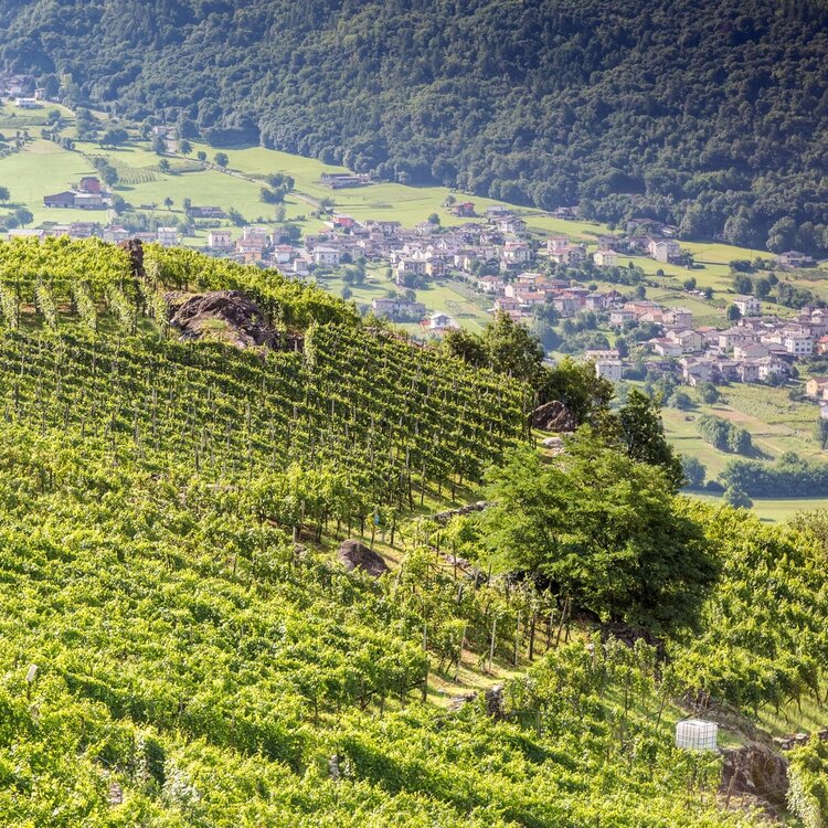 Sondrio - Triasso - Castione Andevenno
