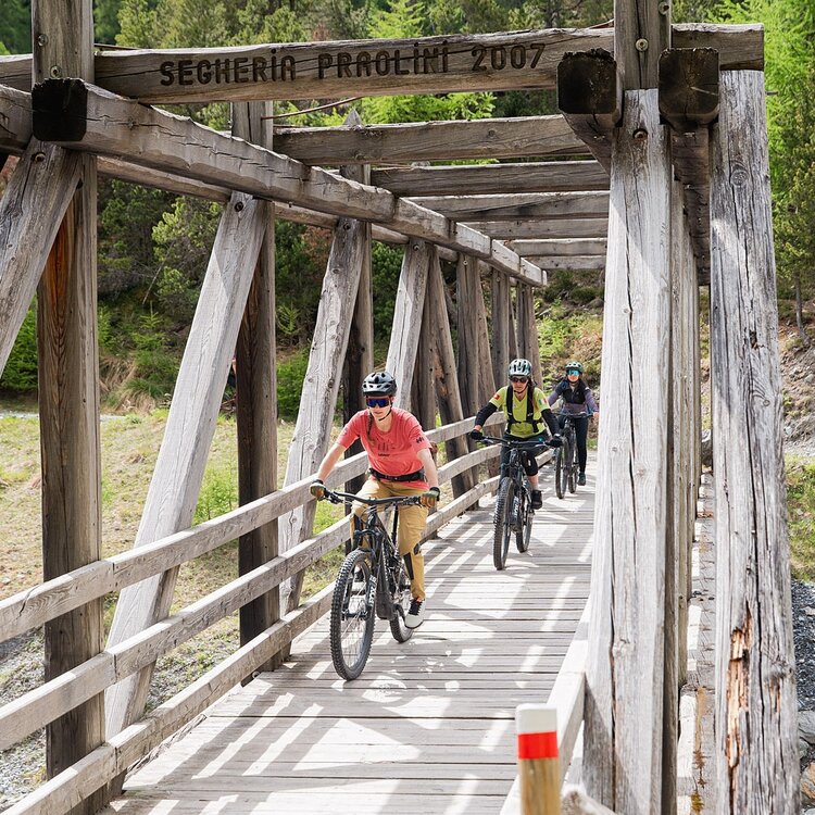 Stelvio E-Bike Tour: Ciclabile Valfurva - Ponte Tre Croci - Pedemontana